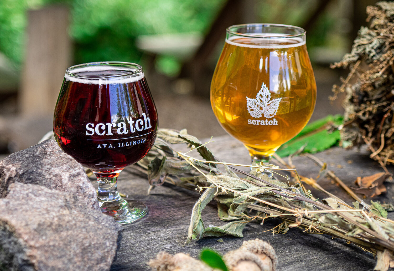 Scratch - beer